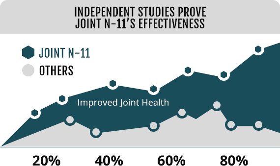 Independent Study